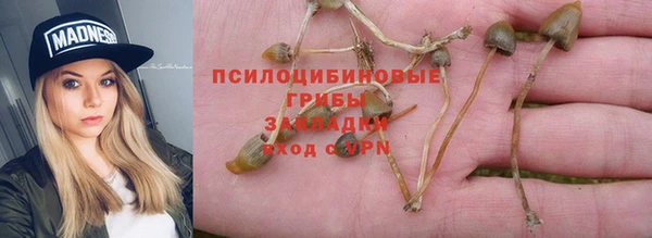 тгк Кинешма